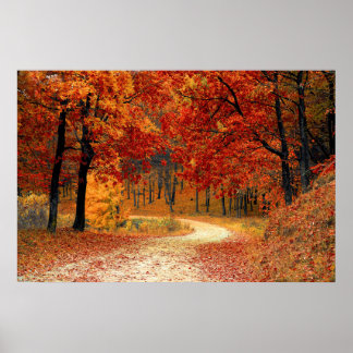 Herbstwald Poster