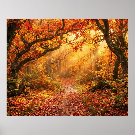 Herbstwald Poster (Vorne)