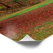 Herbstwald Poster (Ecke)