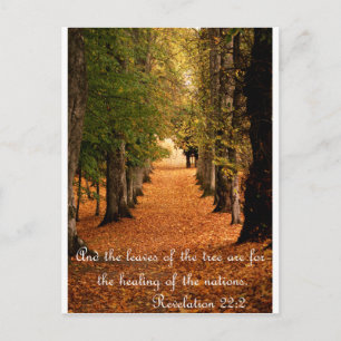 Herbstwald Postkarte