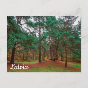 Herbstwald Postkarte
