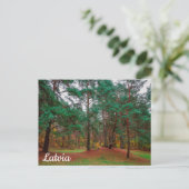 Herbstwald Postkarte (Stehend Vorderseite)