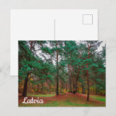 Herbstwald Postkarte (Vorne/Hinten)