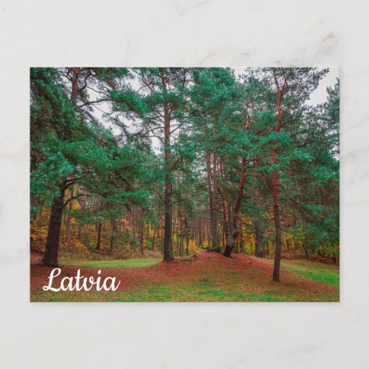 Herbstwald Postkarte (Vorderseite)