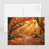 Herbstwald Postkarte (Vorne/Hinten)