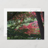 Herbstwald Postkarte (Vorne/Hinten)