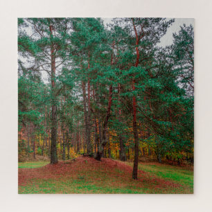 Herbstwald Puzzle