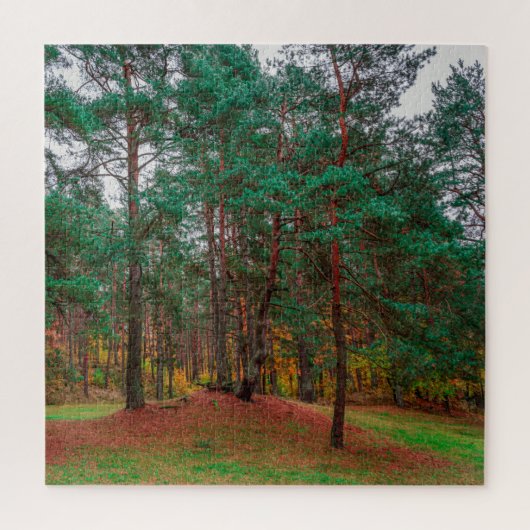 Herbstwald Puzzle (Vertikal)