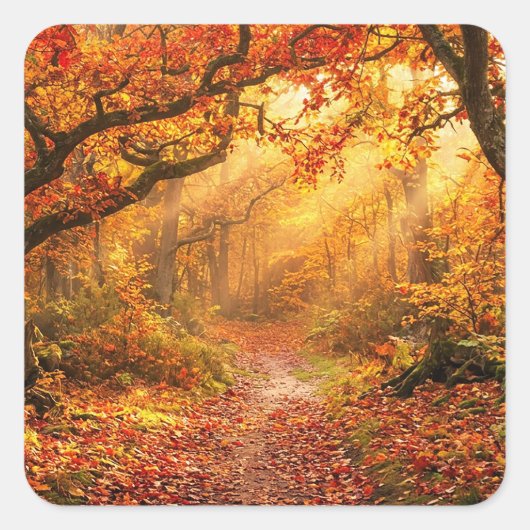 Herbstwald Quadratischer Aufkleber (Vorderseite)