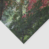 Herbstwald Seidenpapier (Ausschnitt)