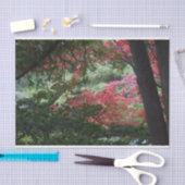 Herbstwald Seidenpapier (Handwerk)