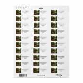 Herbstwald und Flusslandschaft (Vorne)