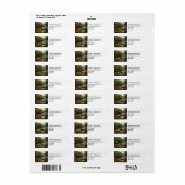 Herbstwald und Flusslandschaft (Vorne)