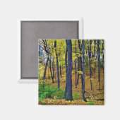 Herbstwald, Westbend, Wisconsin Magnet (Vorderseite/Rückseite)