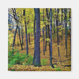 Herbstwald, Westbend, Wisconsin Magnet