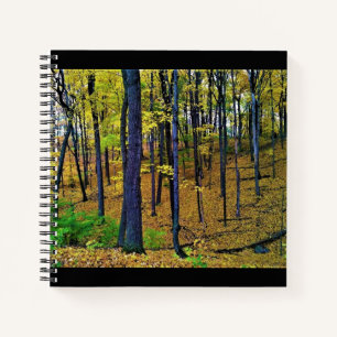 Herbstwald, Westbend, Wisconsin Notizblock
