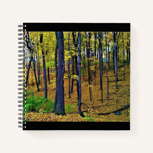 Herbstwald, Westbend, Wisconsin Notizblock (Vorderseite)