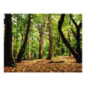 Herbstwälder Fotodruck (Vorne)