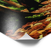 Herbstwälder Fotodruck (Ecke)