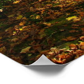 Herbstwälder Poster (Ecke)