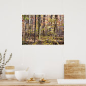 Herbstwälder Poster (Küche)