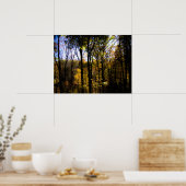 Herbstwälder Poster (Küche)