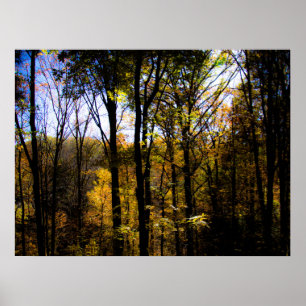 Herbstwälder Poster
