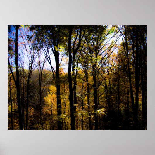 Herbstwälder Poster (Vorne)