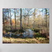 Herbstwälder Poster (Vorne)