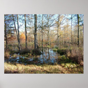 Herbstwälder Poster