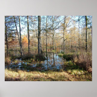 Herbstwälder Poster