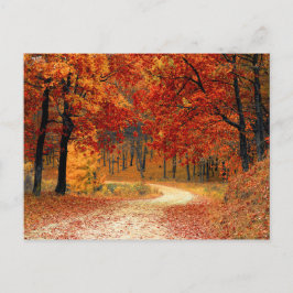 Herbstwälder Postkarte