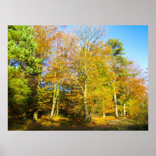Herbstwälder & Sonnenschein - Personalisiert Poster (Vorne)