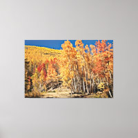 Herbstwaldlandschaft