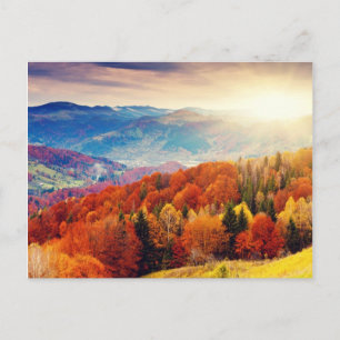 Herbstwaldlandschaft Postkarte