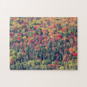 Herbstwaldlandschaft Puzzle