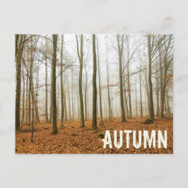 Herbstwaldnebel und Nebelfallsaison Feiertagspostkarte