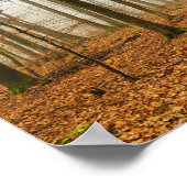 Herbstwaldnebel und Nebelfallsaison Poster (Ecke)