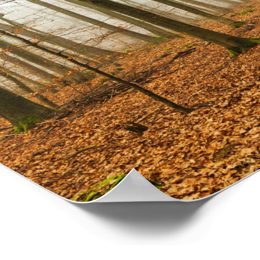 Herbstwaldnebel und Nebelfallsaison Poster (Ecke)