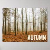 Herbstwaldnebel und Nebelfallsaison Poster (Vorne)