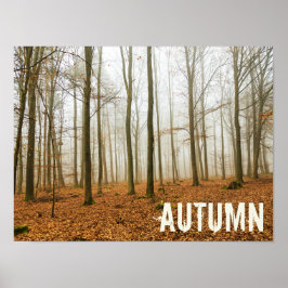 Herbstwaldnebel und Nebelfallsaison Poster