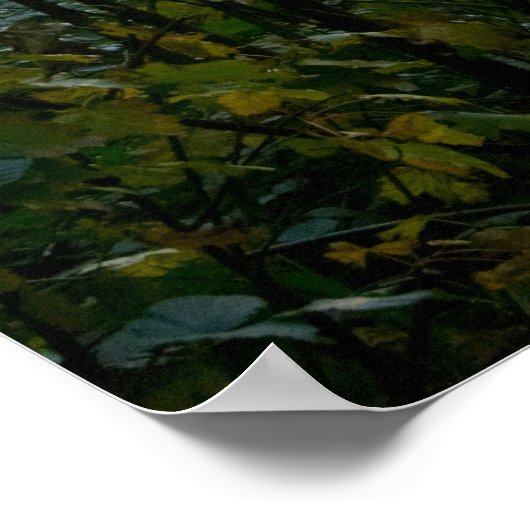 Herbstwaldpfad mit Sonnenstrahlen Poster (Ecke)