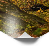 Herbstwaldstrecke Fotodruck (Ecke)