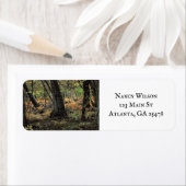 Herbstwaldszene (Insitu)