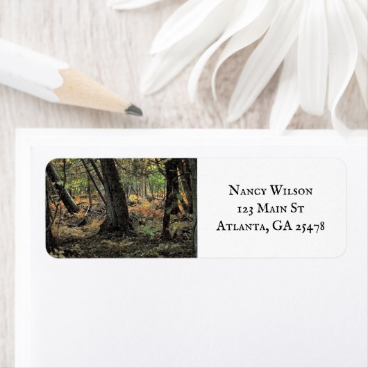 Herbstwaldszene (Insitu)