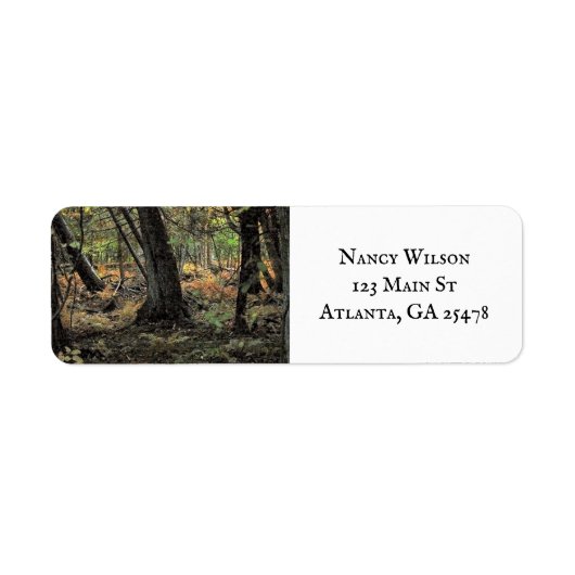 Herbstwaldszene (Vorne)