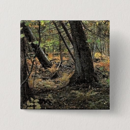 Herbstwaldszene Button (Vorderseite)