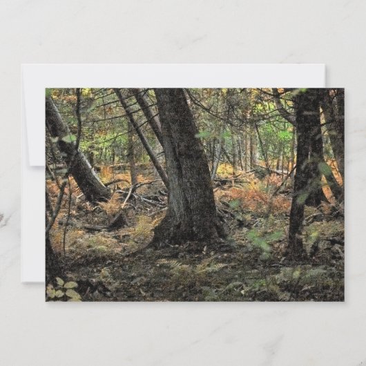 Herbstwaldszene Einladung (Rückseite)