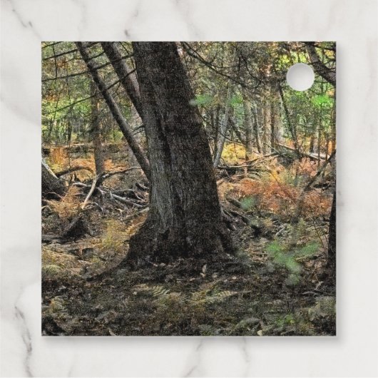 Herbstwaldszene Geschenkanhänger (Rückseite)