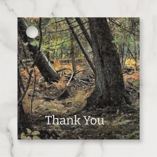 Herbstwaldszene Geschenkanhänger (Vorderseite)